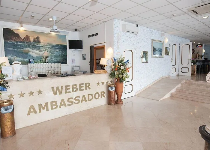 웨버엠베서더스