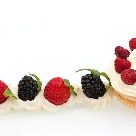 فيبر أمبسادور فندق 4*