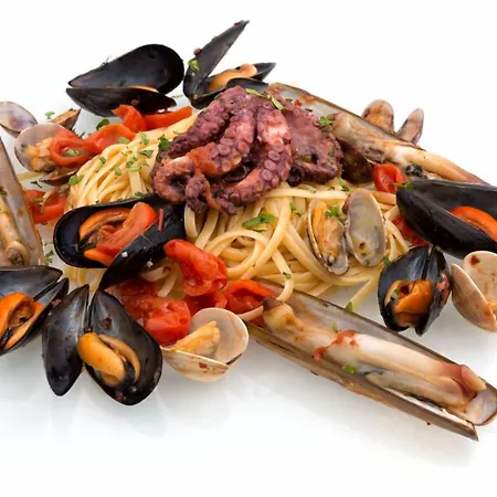 فيبر أمبسادور فندق