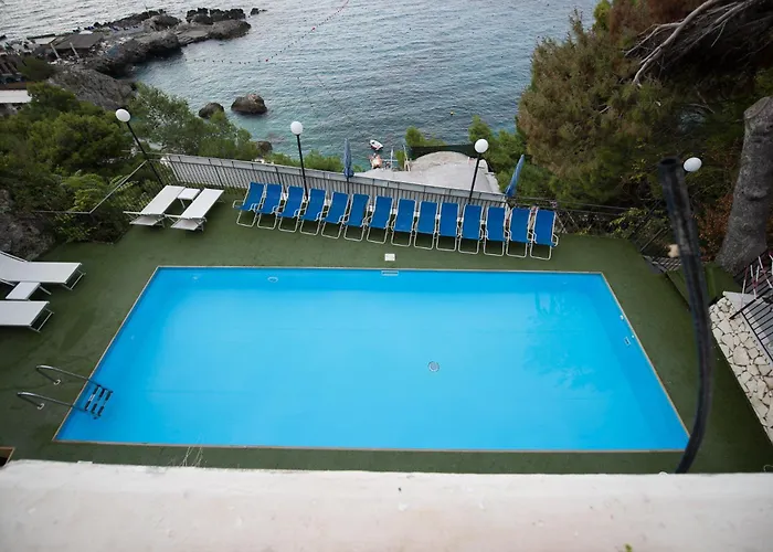 Weber Ambassador Capri