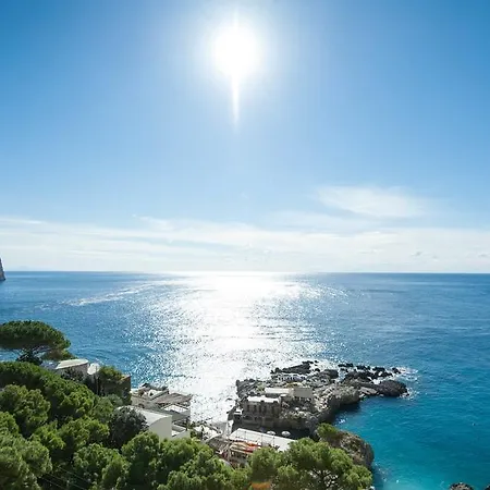 Weber Ambassador Hotel 4*